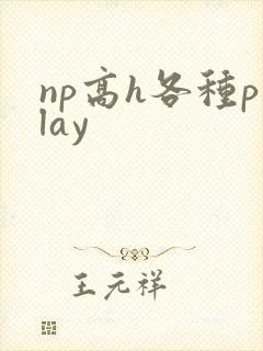 np高h各种play