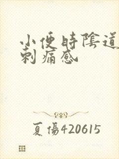 小便时阴道口有刺痛感