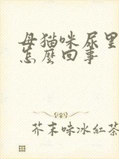 母猫咪尿里有血怎么回事