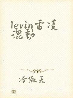 levin雷凌混动