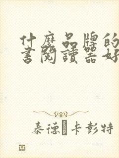 什么品牌的电子书阅读器好