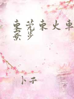 东莞东火车站到寮步