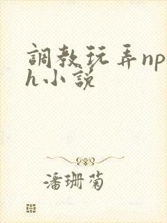 调教玩弄np高h小说
