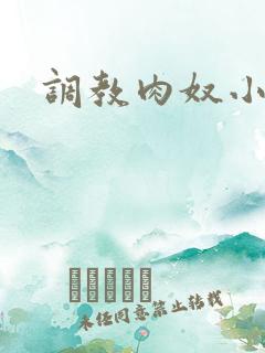 调教肉奴小说