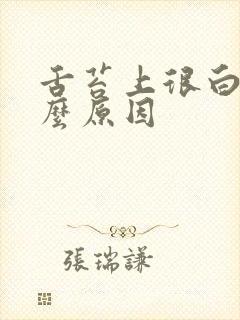 舌苔上很白是什么原因