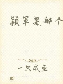 颖军是哪个军阀