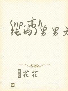 (np,高h,纯肉)男男文 (np,高h,纯肉)男男文