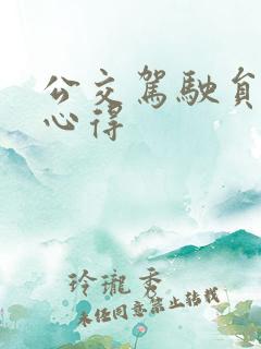 公交驾驶员安全心得