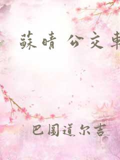 苏晴 公交车