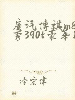广汽传祺m8领秀390t豪华版