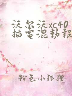 沃尔沃xc40插电混动报价
