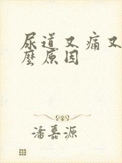 尿道又痛又痒什么原因