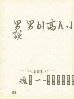 男男bl高h小说