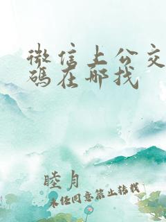 微信上公交乘车码在哪找