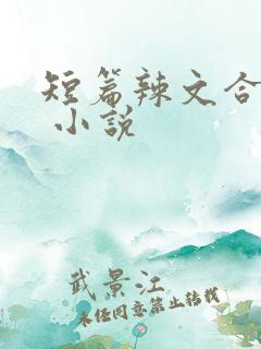 短篇辣文合集. 小说