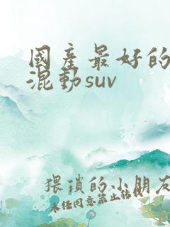 国产最好的插电混动suv 国产最好的插电混动suv