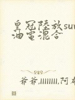 皇冠陆放suv油电混合