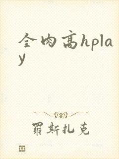 全肉高hplay