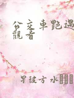 公交车艳遇在线观看