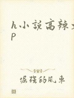 h小说高辣文np