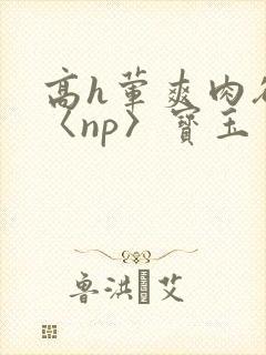 高h荤爽肉欲文〈np〉宝玉 高h荤爽肉欲文〈np〉宝玉