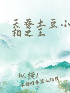 天蚕土豆小说万相之王