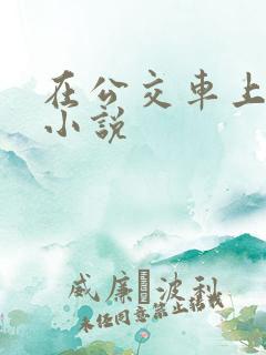 在公交车上做的小说