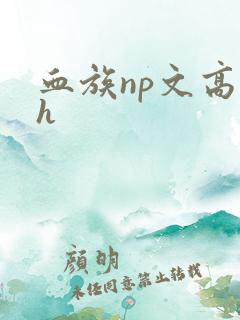 血族np文高hh 血族np文高hh