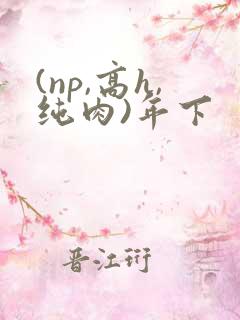(np,高h,纯肉)年下