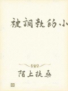 被调教的小骚货