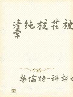 清纯校花被炒日常