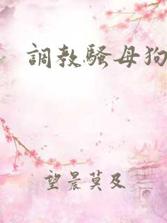 调教骚母狗国产