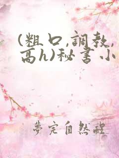 (粗口,调教,高h)秘书小说