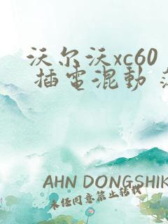 沃尔沃xc60 插电混动 落地
