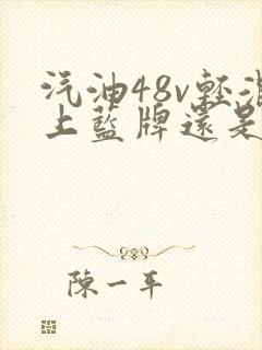 汽油48v轻混上蓝牌还是绿牌