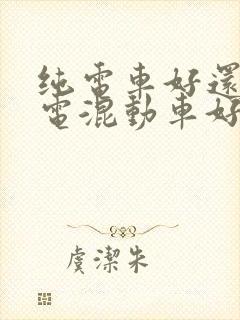 纯电车好还是插电混动车好