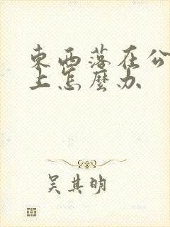 东西落在公交车上怎么办