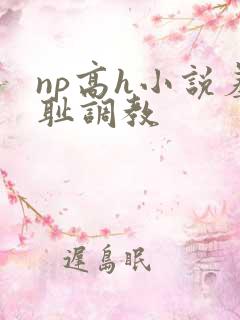np高h小说羞耻调教