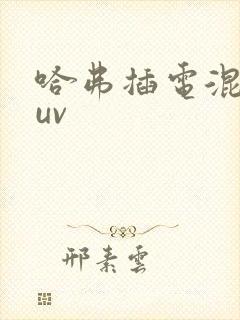 哈弗插电混动suv