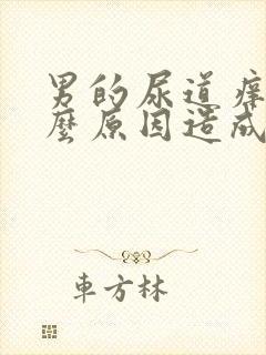 男的尿道痒是什么原因造成的