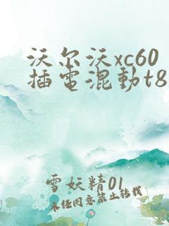 沃尔沃xc60插电混动t8价格