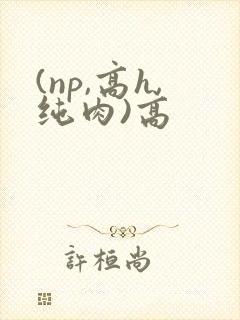 (np,高h,纯肉)高 (np,高h,纯肉)高