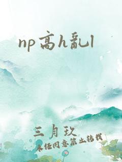 np高h乱l