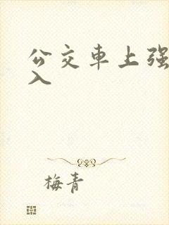 公交车上强行插入
