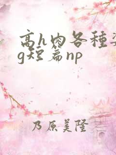 高h肉各种姿势g短篇np