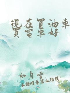 现在买油车还是买电车好
