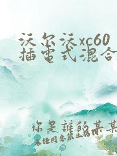沃尔沃xc60插电式混合动力