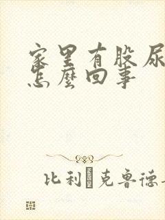 家里有股尿骚味怎么回事
