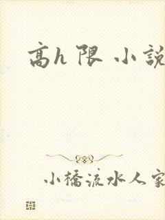 高h 限 小说 高h 限 小说