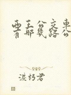 西王公交车站都有哪几路公交